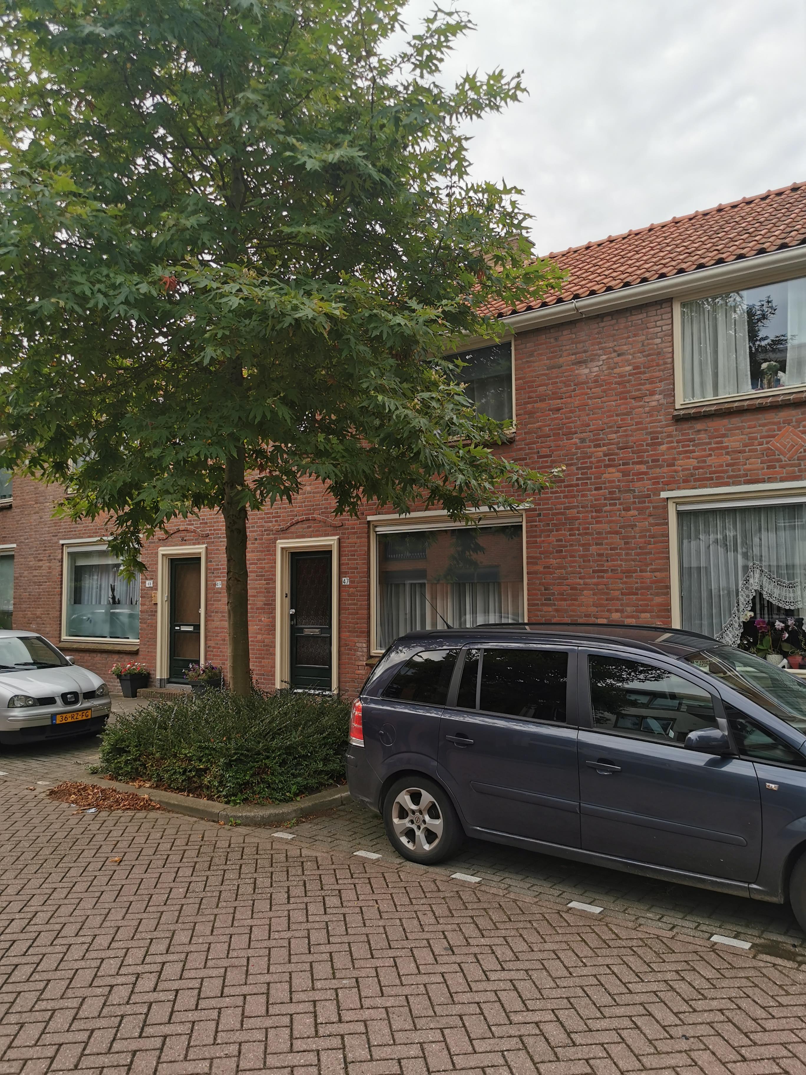 Plaats 47, 2665 CM Bleiswijk, Nederland
